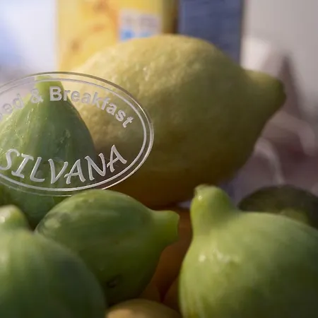 Silvana Bed & Breakfast *